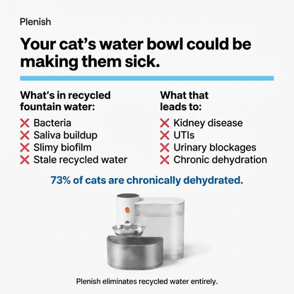 Plenish™ The Filterless Self-Refill Fountain